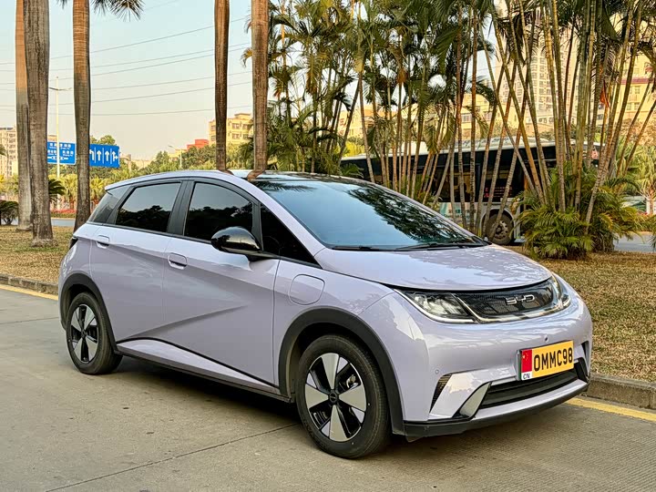 Фото 3 - BYD Dolphin