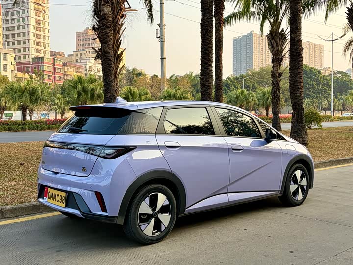 Фото 4 - BYD Dolphin