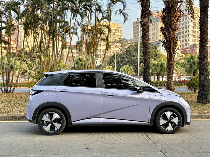 Фото 7 - BYD Dolphin