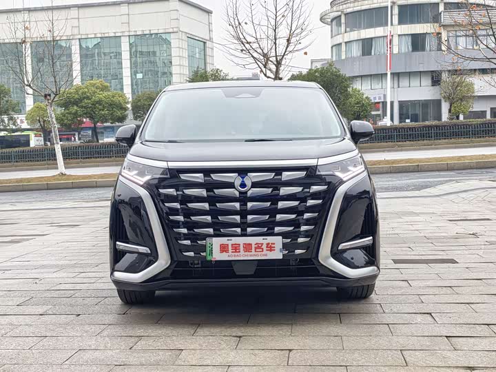 Фото 2 - Denza D9