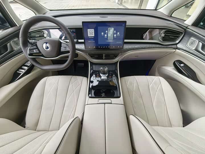 Фото 6 - Denza D9