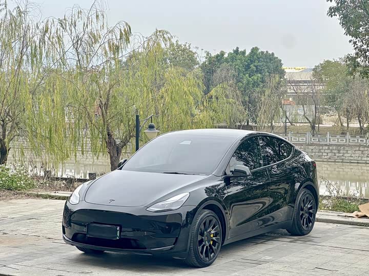 Фото 1 - Tesla Model Y