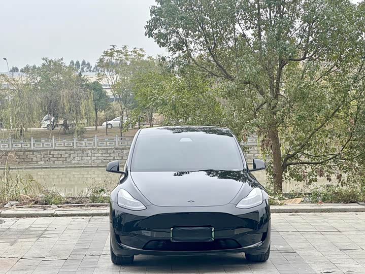 Фото 2 - Tesla Model Y