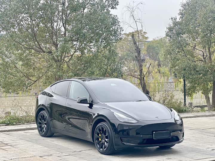 Фото 3 - Tesla Model Y