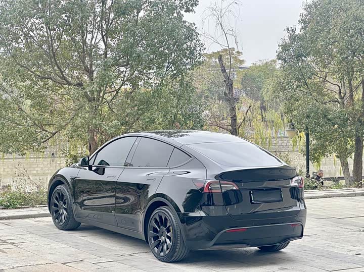 Фото 4 - Tesla Model Y