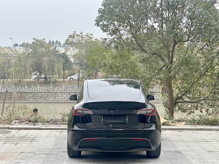Фото 5 - Tesla Model Y
