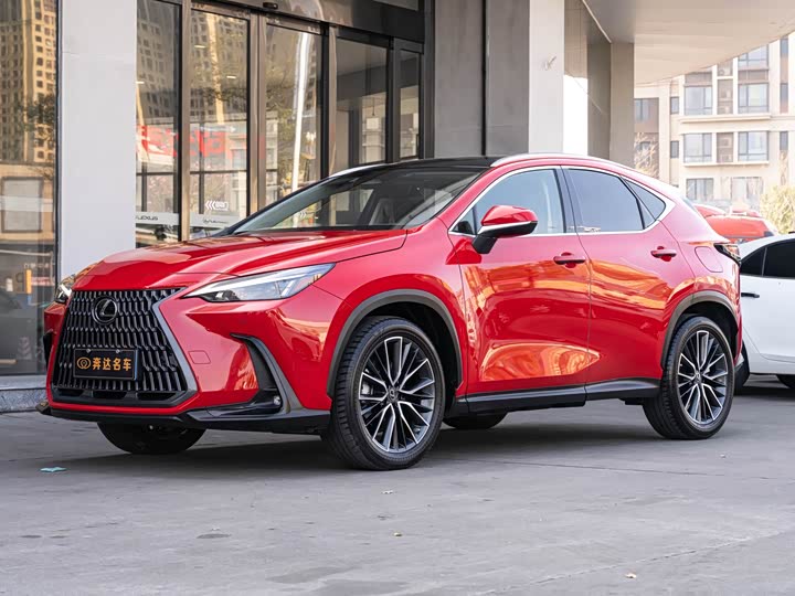 Фото 1 - Lexus NX