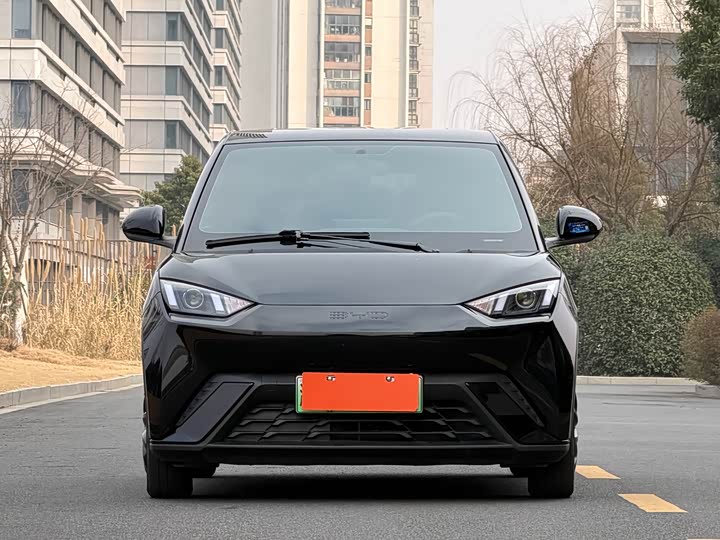 Фото 2 - BYD Seagull