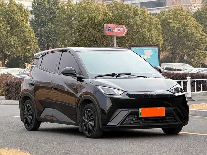 Фото 3 - BYD Seagull