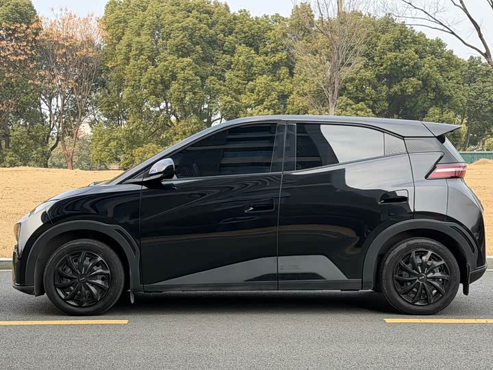 Фото 4 - BYD Seagull