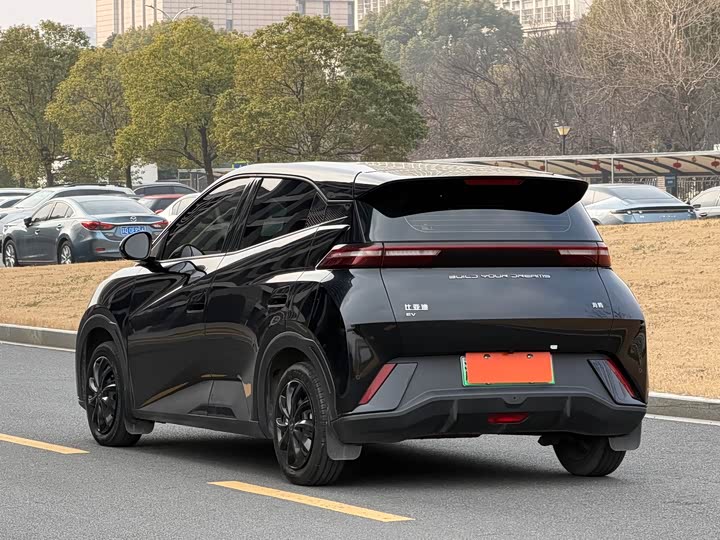 Фото 5 - BYD Seagull