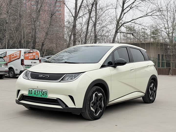 Фото 1 - BYD Dolphin