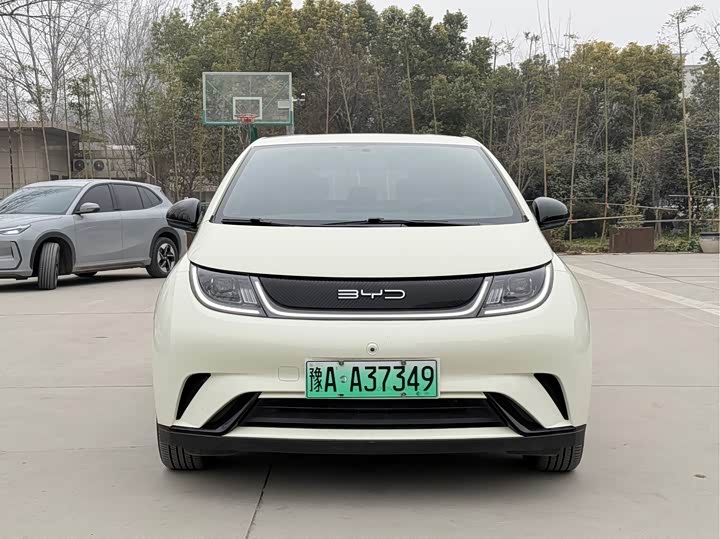 Фото 2 - BYD Dolphin