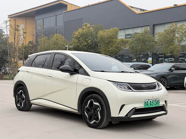 Фото 3 - BYD Dolphin