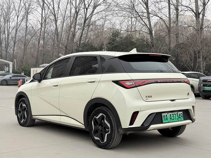 Фото 4 - BYD Dolphin