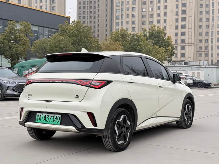 Фото 6 - BYD Dolphin