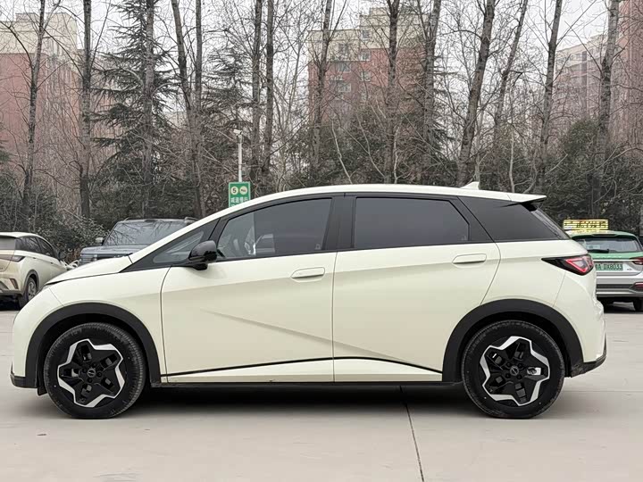 Фото 7 - BYD Dolphin