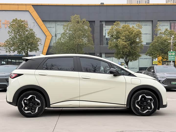 Фото 8 - BYD Dolphin