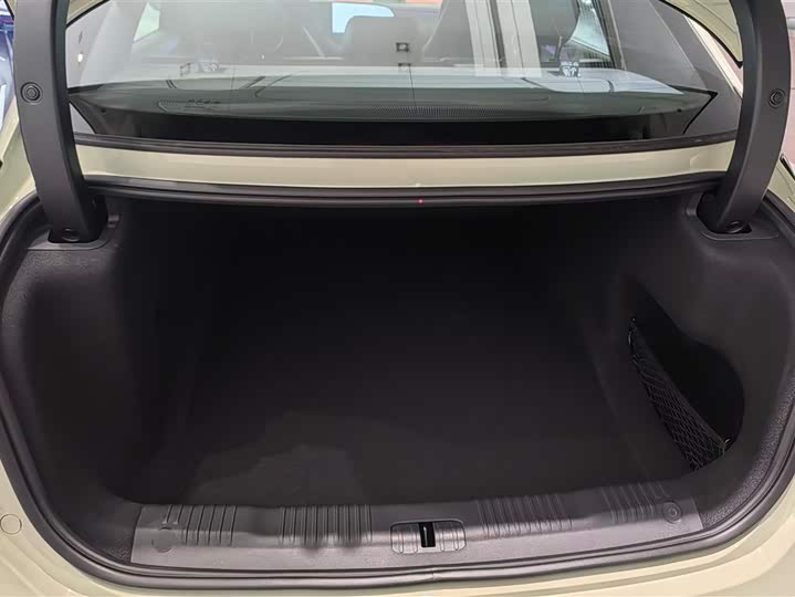 Фото 4 - Hongqi EH7