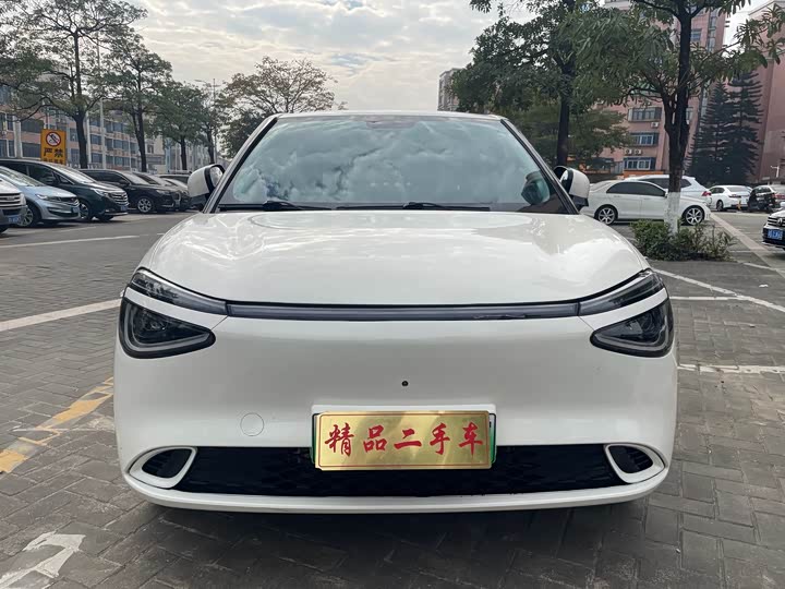 Фото 1 - Dongfeng Nammi 01