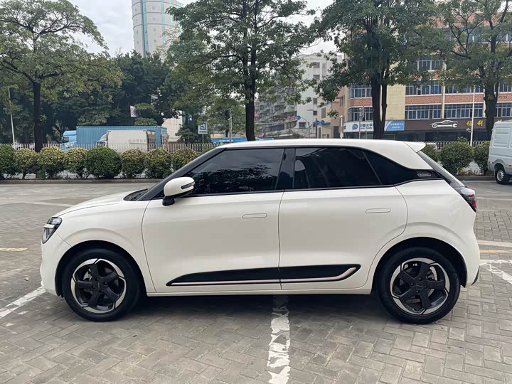 Фото 4 - Dongfeng Nammi 01