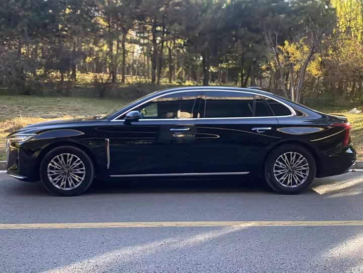 Фото 3 - Hongqi H5