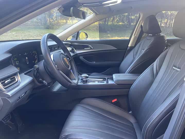 Фото 6 - Hongqi H5