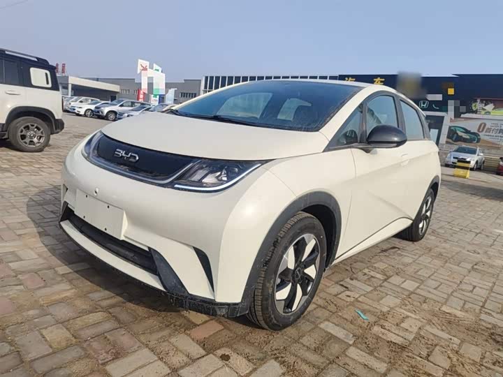 Фото 2 - BYD Dolphin