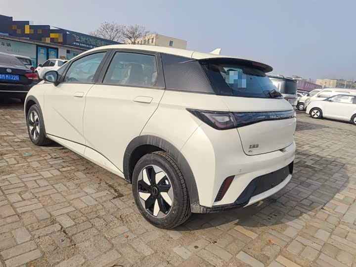 Фото 5 - BYD Dolphin