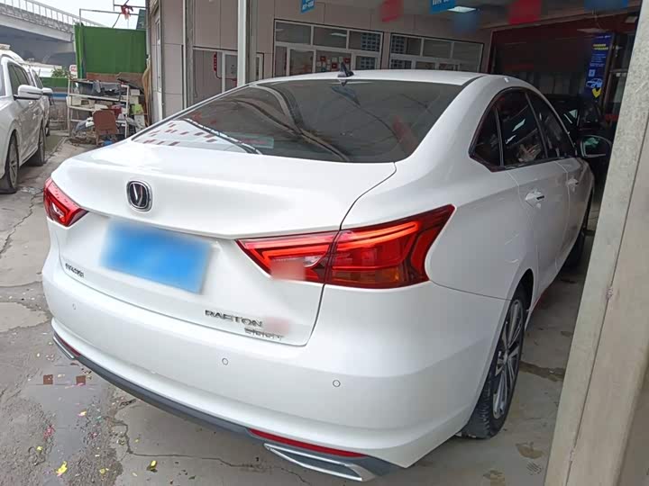 Фото 7 - Changan Raeton CC