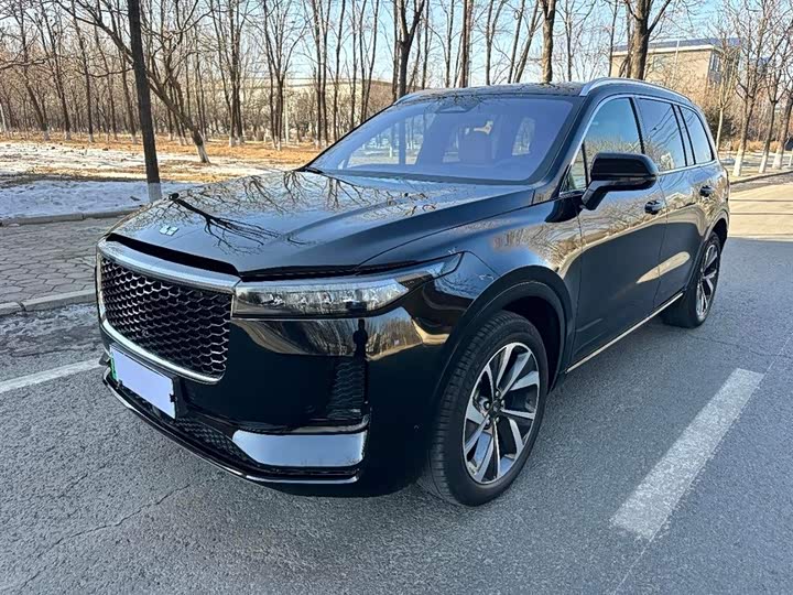 Фото 1 - LiXiang One