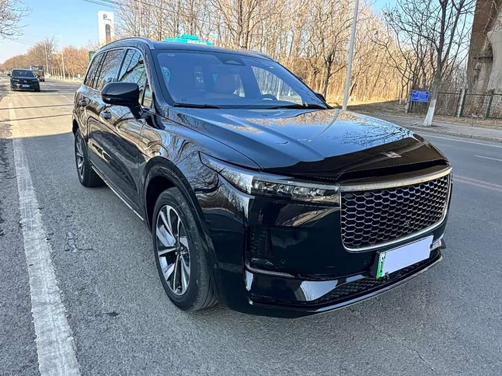 Фото 3 - LiXiang One