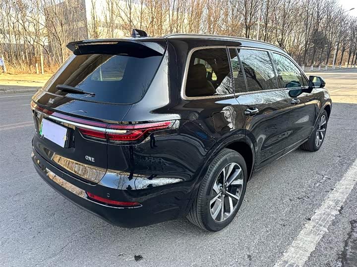 Фото 9 - LiXiang One