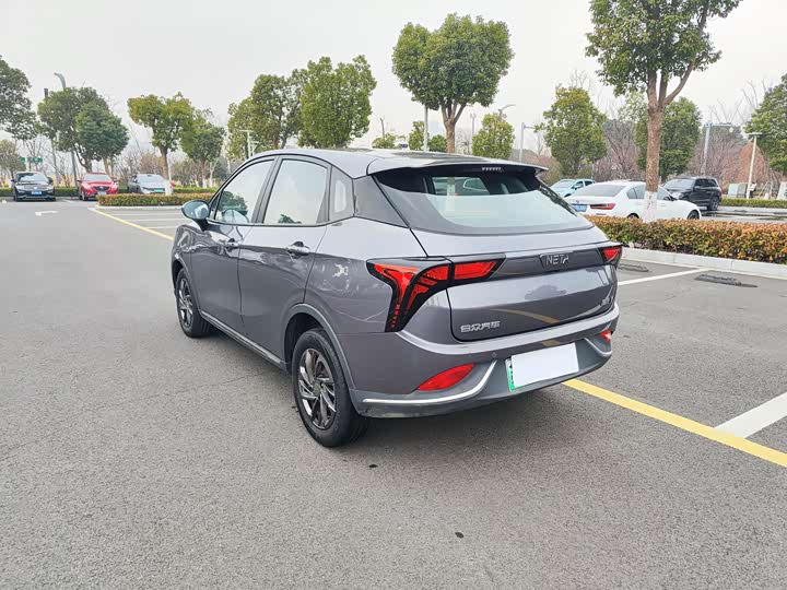 Фото 7 - Hozon V