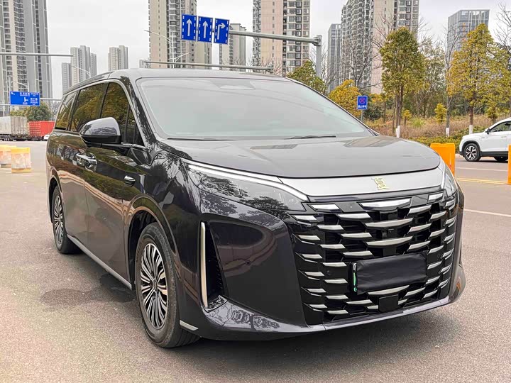 Фото 1 - BYD Xia