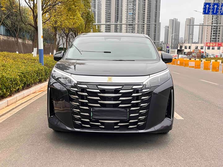 Фото 2 - BYD Xia