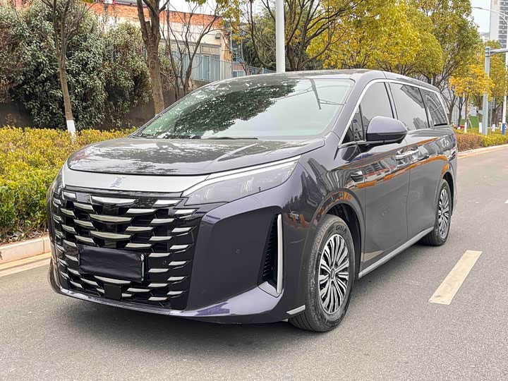 Фото 3 - BYD Xia