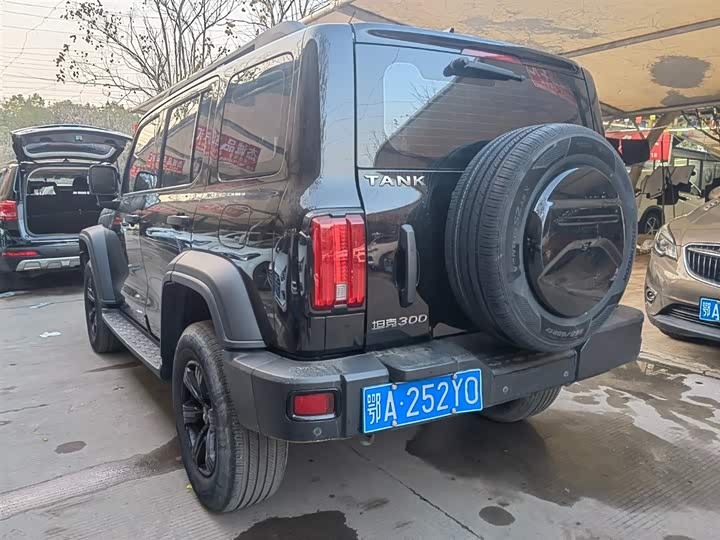 Фото 2 - Tank 300