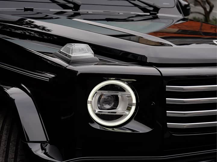 Фото 6 - Mercedes-Benz G-Class