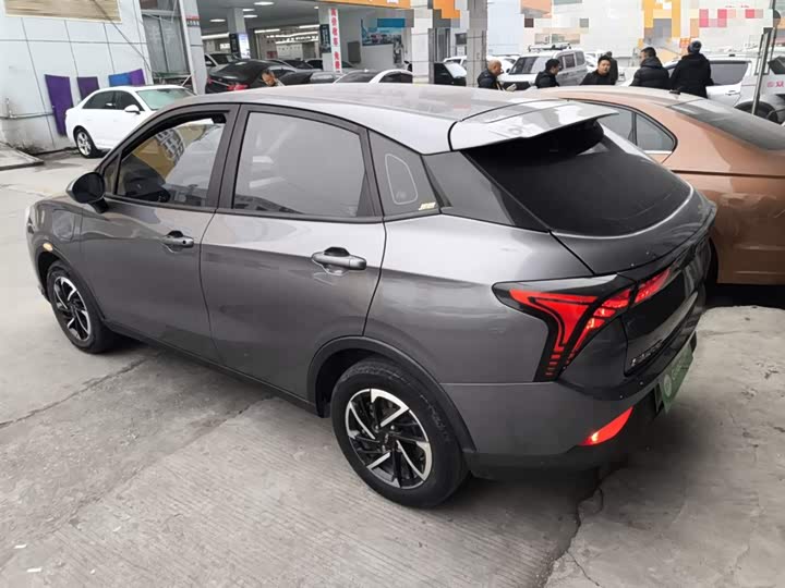 Фото 5 - Hozon V