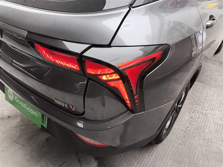 Фото 8 - Hozon V