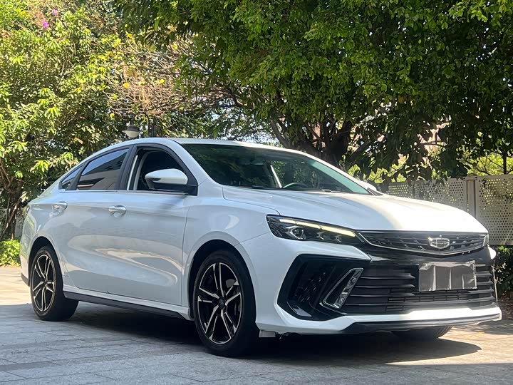 Фото 3 - Geely Binrui