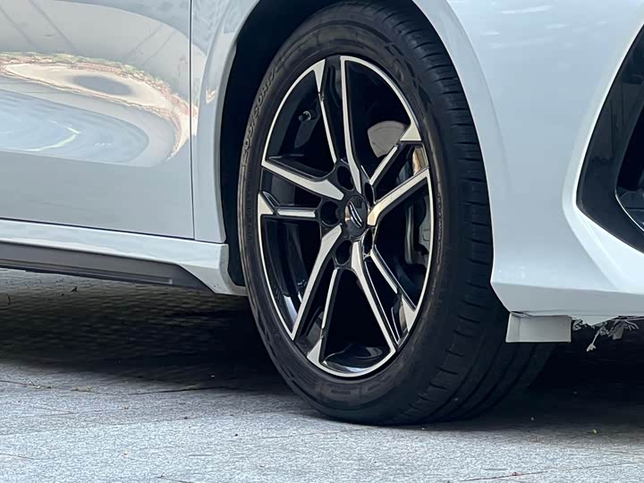 Фото 7 - Geely Binrui