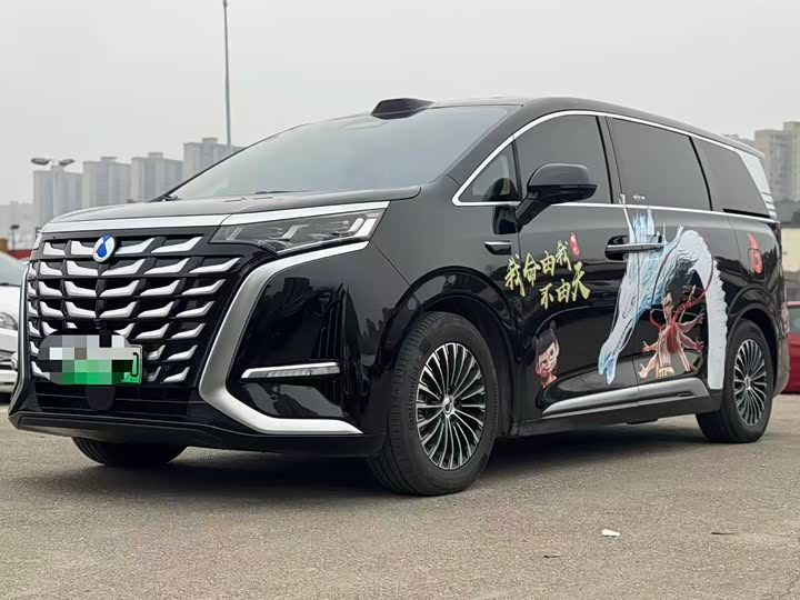 Фото 1 - Denza D9