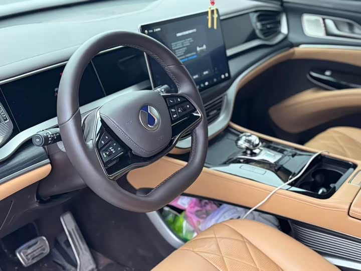 Фото 4 - Denza D9