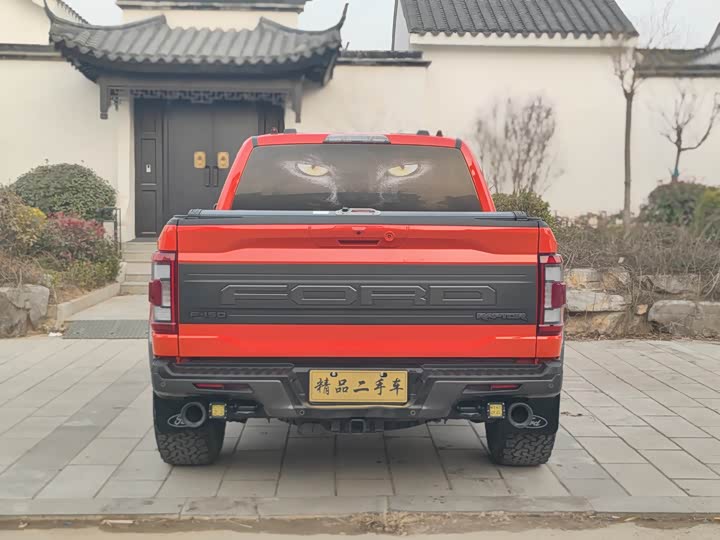 Фото 6 - Ford F-150 Raptor