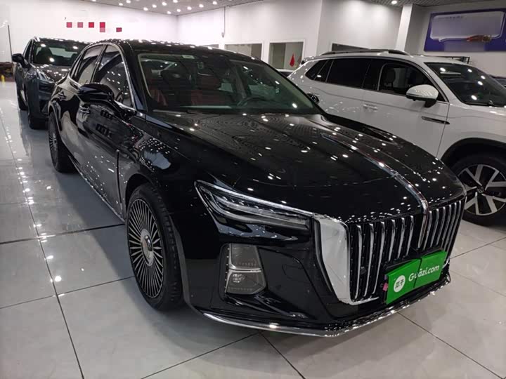 Фото 4 - Hongqi H5