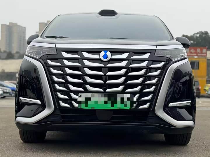 Фото 2 - Denza D9