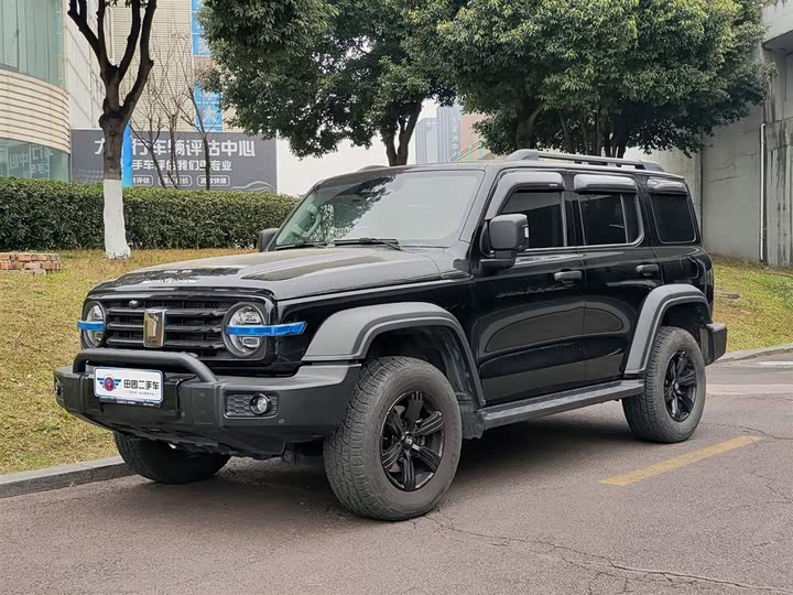 Фото 1 - Tank 300