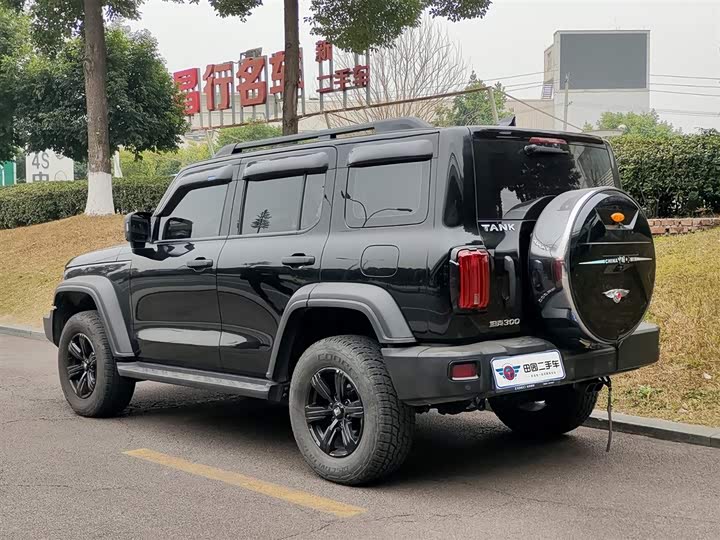 Фото 4 - Tank 300